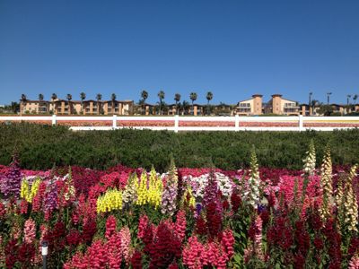 f0068883_1535890.jpg