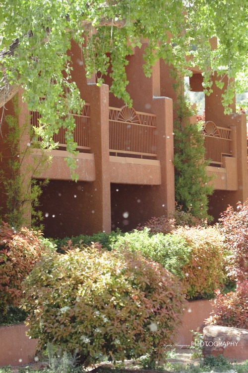 e0148185_72889.jpg