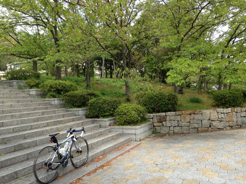 a0251786_19571716.jpg
