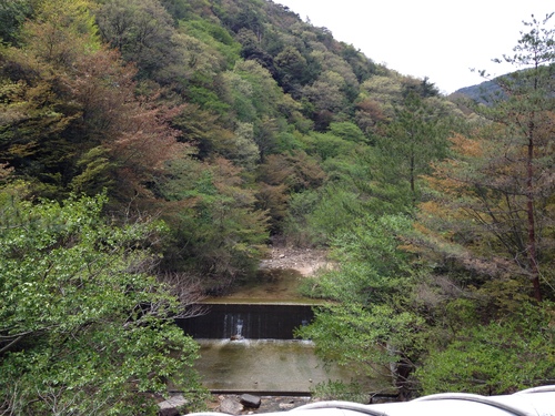 a0251786_1958827.jpg
