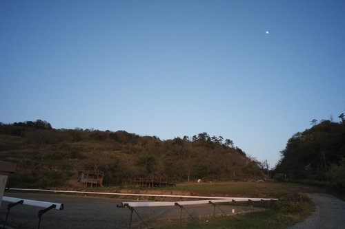 a0116490_110640.jpg