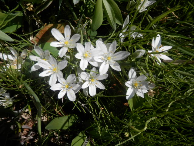 a0275492_2522916.jpg