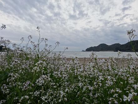 a0125598_2018559.jpg