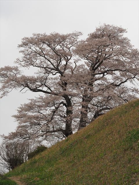 f0224100_871443.jpg