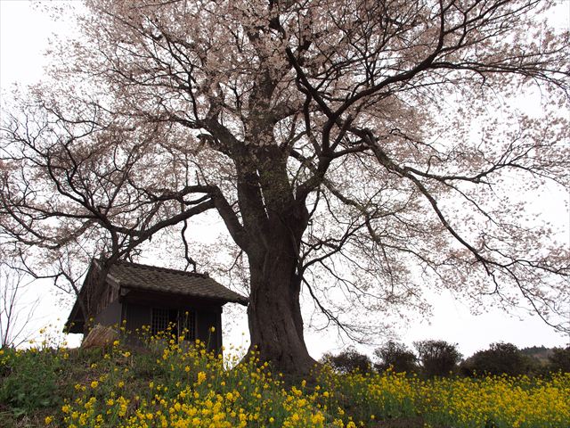 f0224100_891618.jpg