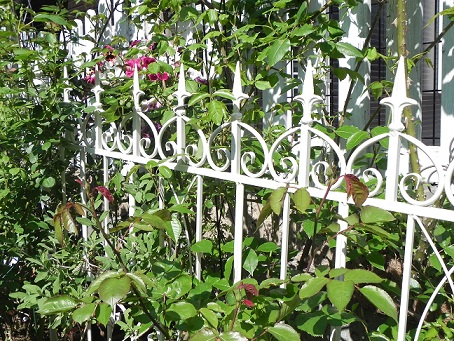 c0152002_10311673.jpg