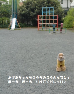 a0134004_14504420.jpg