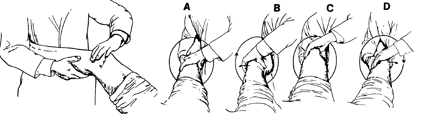 b0112009_811333.png