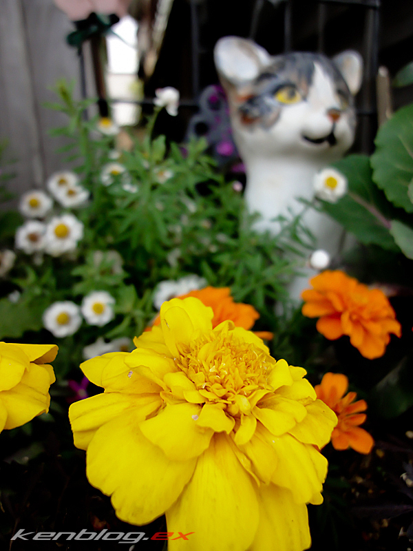 a0070118_15224299.jpg