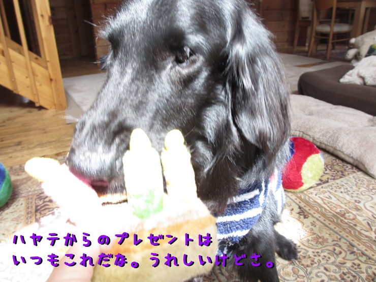 c0237824_11152316.jpg