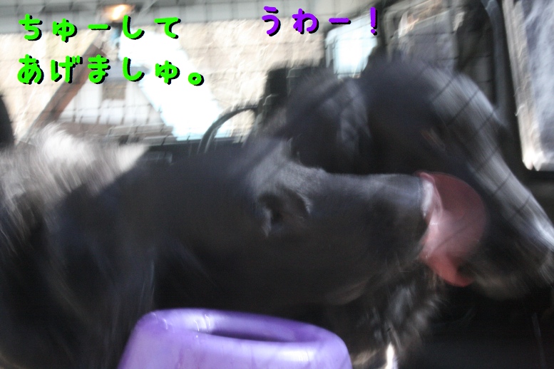 c0237824_11161382.jpg