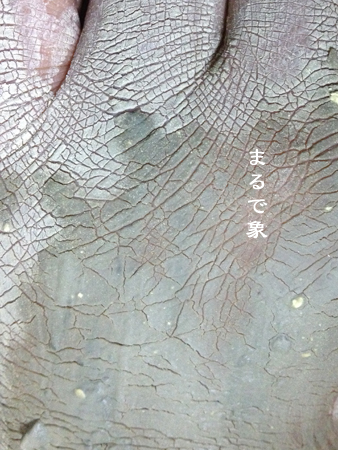 d0042827_23513177.jpg