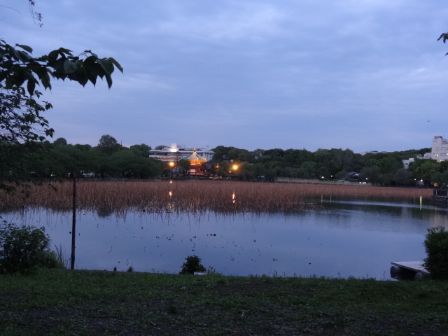 e0016828_1149786.jpg