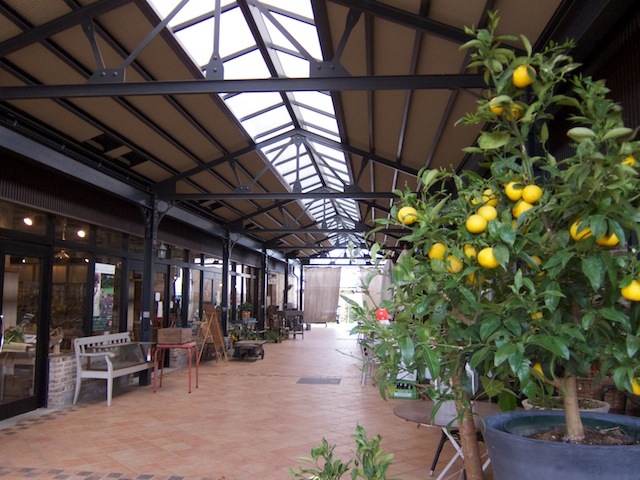 e0021328_0161599.jpg