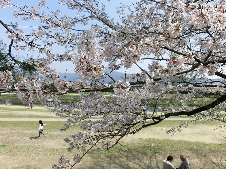 f0237037_10152463.jpg