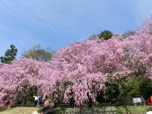 f0237037_10193981.jpg