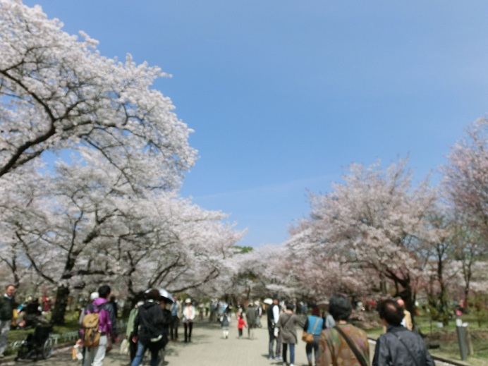 f0237037_10234721.jpg