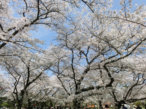 f0237037_10253184.jpg