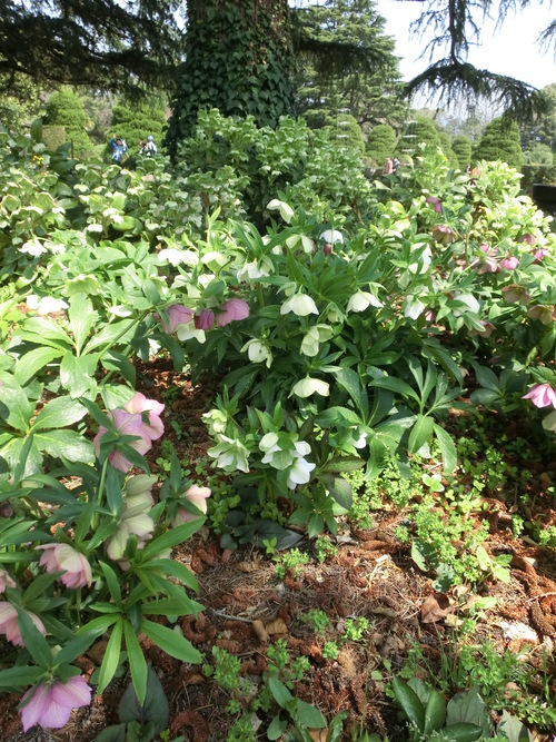 f0237037_10341093.jpg