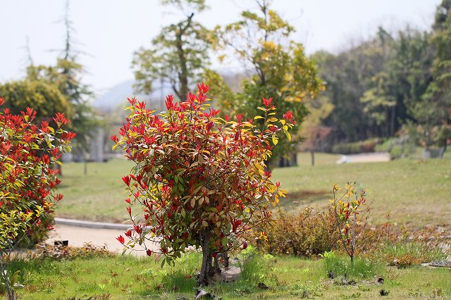 a0242438_1911341.jpg
