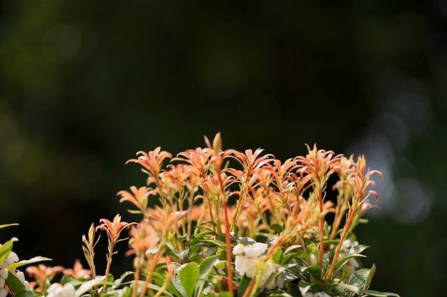 a0242438_1985290.jpg