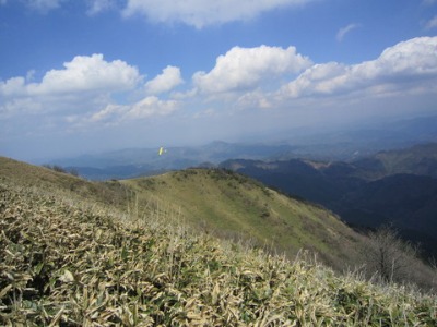 e0110940_752886.jpg