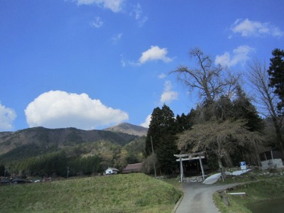 e0110940_7533077.jpg