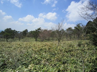 e0110940_755131.jpg