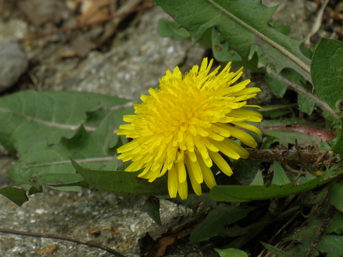 a0289641_8232381.jpg