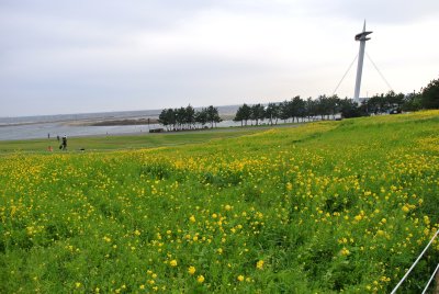 d0142944_2115317.jpg