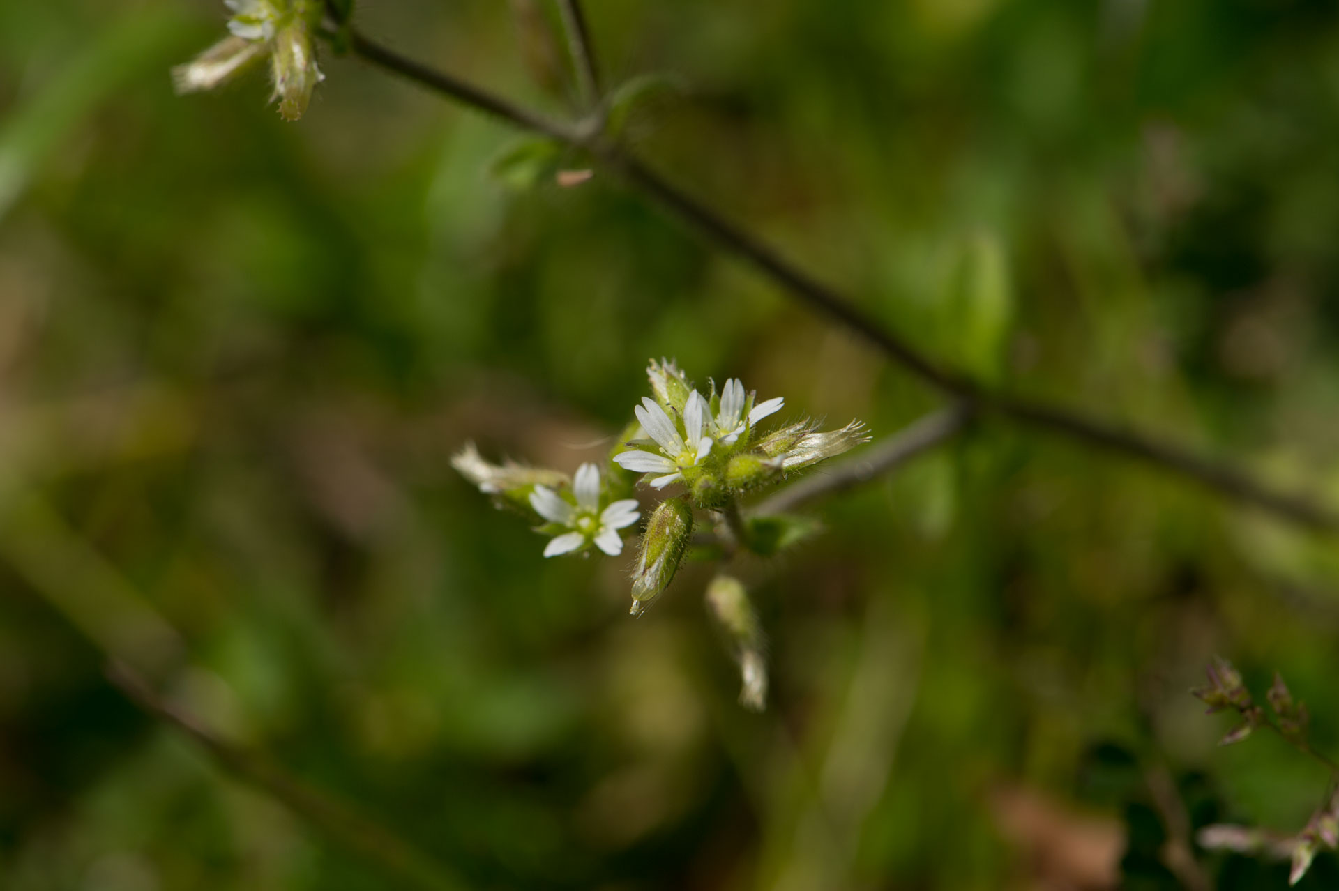 b0023047_4333890.jpg