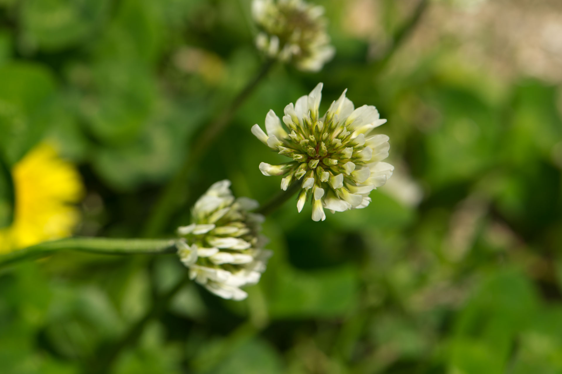 b0023047_4335558.jpg