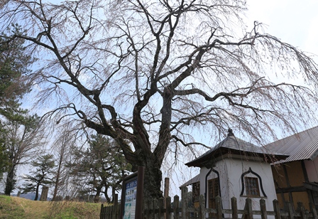 d0163550_2023883.jpg