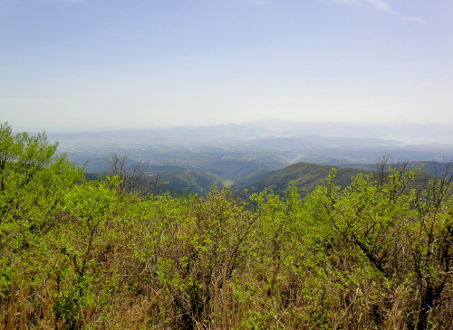 c0179351_9244266.jpg