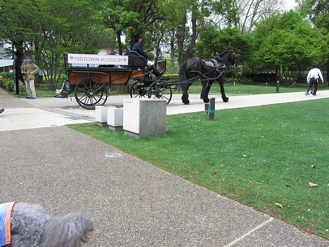 e0129656_23181918.jpg
