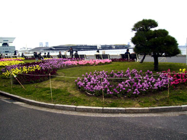 a0055866_20431757.jpg
