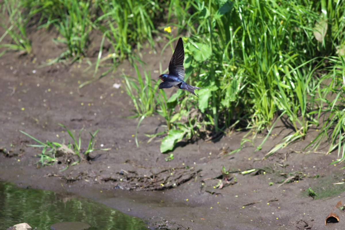 a0083081_141116.jpg