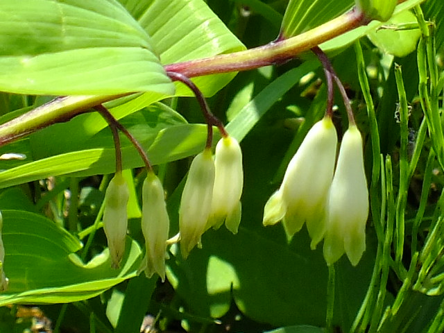 e0145782_1173111.jpg