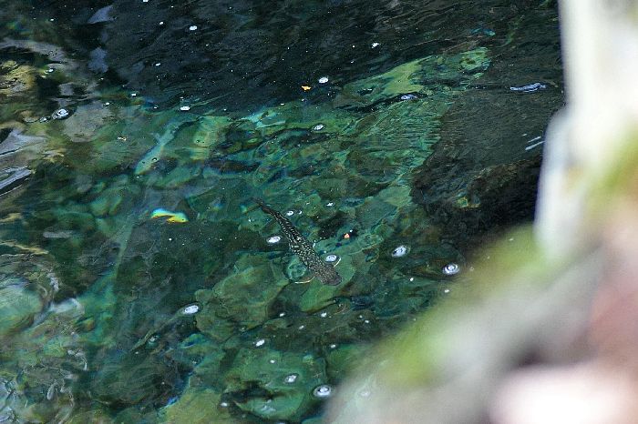 d0164783_2120127.jpg