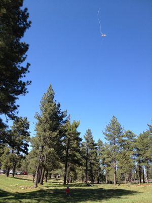 f0068883_16463994.jpg