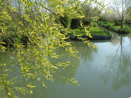 a0247585_51592.jpg