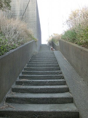 e0123587_1147697.jpg
