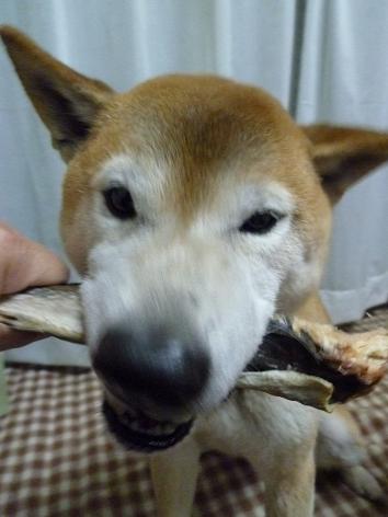 c0123890_21222014.jpg