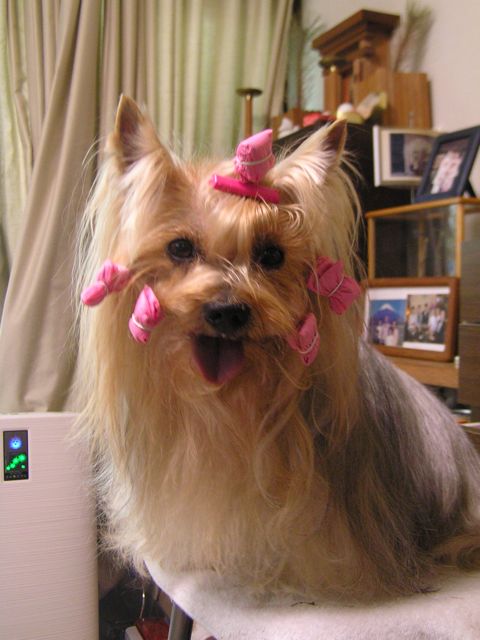 f0130894_2125889.jpg