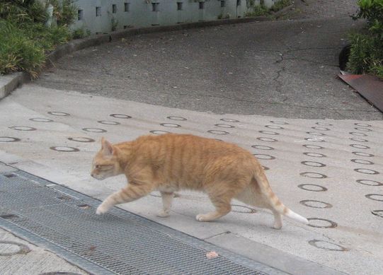 f0201297_023372.jpg