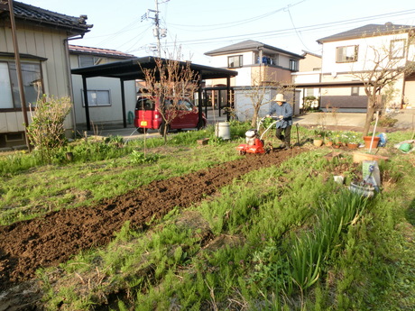 a0203003_1925296.jpg