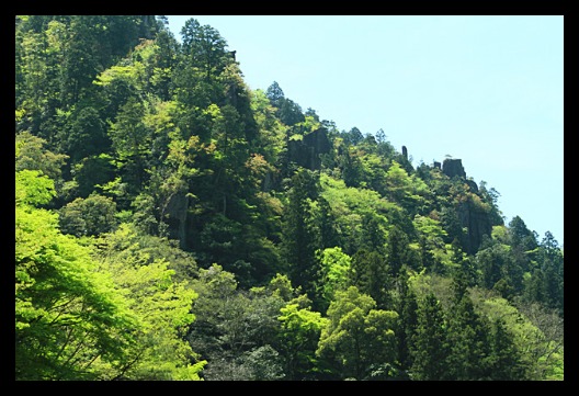 b0014607_16143920.jpg