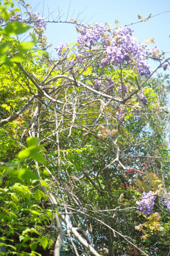 f0188408_13582552.jpg