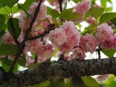 b0273309_14104334.jpg
