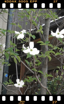 c0157412_22312852.jpg